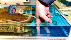 Epoxy resin in bathroom design