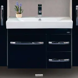 Bathroom design with black cabinet