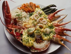 Photo delicious cuisine