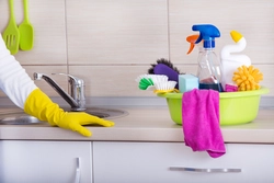 Kitchen cleaning photo