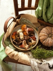 Wild kitchen photo
