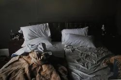 Bedroom sleep photo