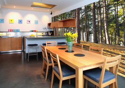 Forest kitchen photo