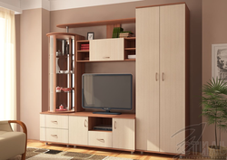Қонақ бөлмесінің стилі 2 фотосурет