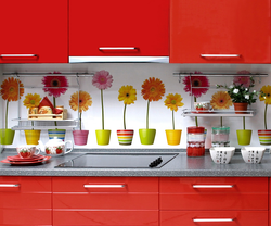 Kitchen with gerberas photo