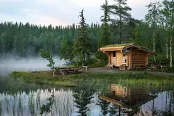 Ванна в лесу фото