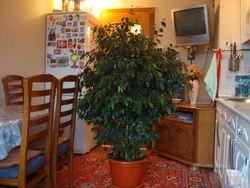 Спальни