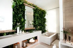 Greenery in the bathroom photo