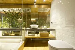 Greenery in the bathroom photo