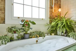 Yaşıllıq fotoşəkili olan hamam