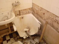 Unfilled bathtubs photo