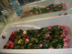Hamam fotoşəkilindən buketlər