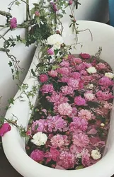 Bouquets in the bathroom photo