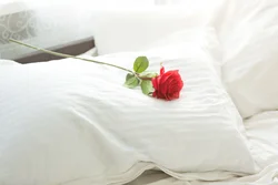 White roses bedroom photo