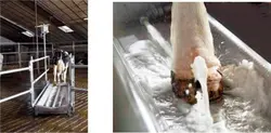 Photo processing bath