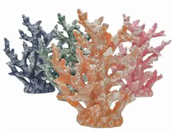 Corals for the bathroom photo