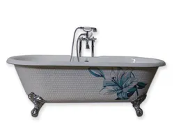 Paint The Outside Of The Bathtub Photo