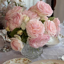 Oshxonadagi Peonies Fotosurati