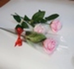 Photo of one rose in the kitchen