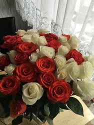 Сурати як садбарг дар ошхона
