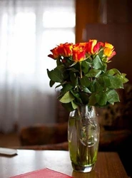 Фото Одной Розы На Кухне