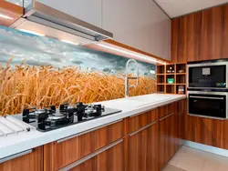Photo of apron for kitchen field