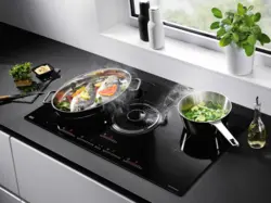 Two-burner panel in the kitchen photo