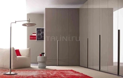 Gray wardrobe in the living room photo
