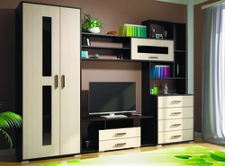 Living Room Wenge Milky Oak Photo