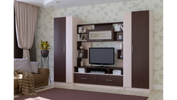 Living Room Wenge Milky Oak Photo