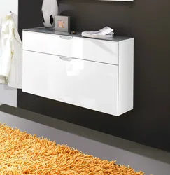 Hanging cabinets in the hallway photo