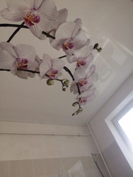Flowers on the kitchen ceiling photo