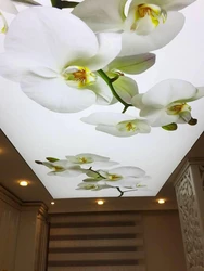 Flowers on the kitchen ceiling photo