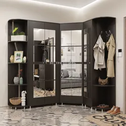 Mebel koridorları foto künc şkafları