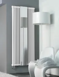 Vertical Radiators In The Kitchen Photo