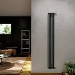 Vertical radiators in the kitchen photo