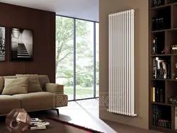 Vertical radiators in the kitchen photo