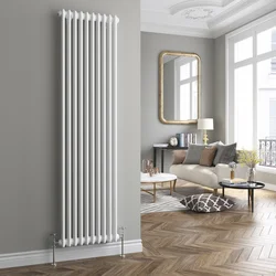 Mətbəx fotoşəkilində şaquli radiatorlar