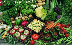 Photo for the kitchen vegetables fruits