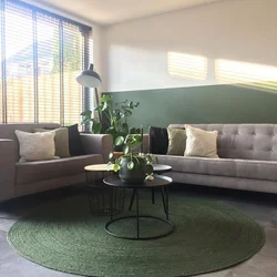 Photo Of Green Carpets In The Living Room