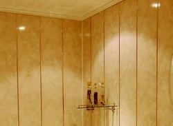 Laminated panels photo for bath