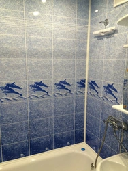 Дельфин моншасының фотосуреті