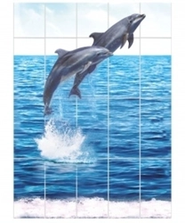 Delfin vannasi panellari fotosurati
