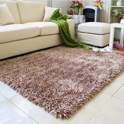 Brown carpet in the living room photo