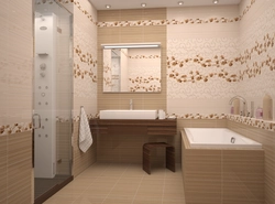 Bathroom tiles 25x40 photo