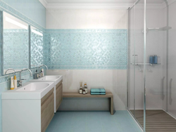 Bathroom tiles 25x40 photo