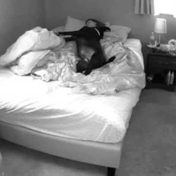 Camera in parents' bedroom photo