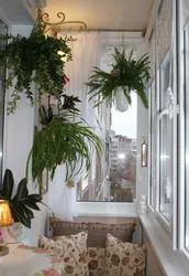 Loggia as a winter garden photo