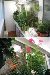 Санаттар 