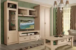 Modular Living Rooms Classic Style Photo